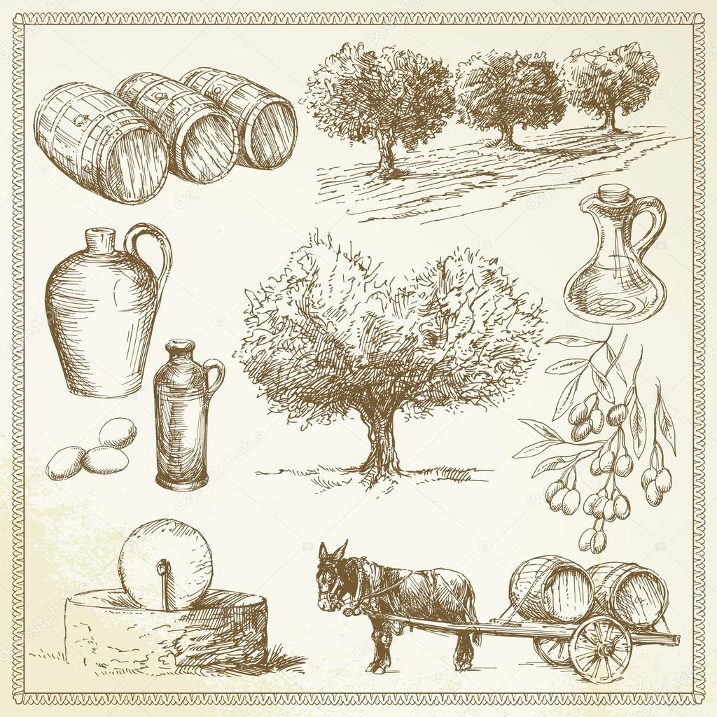 olive - hand drawn set