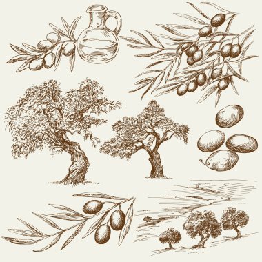 El yapımı zeytin seti