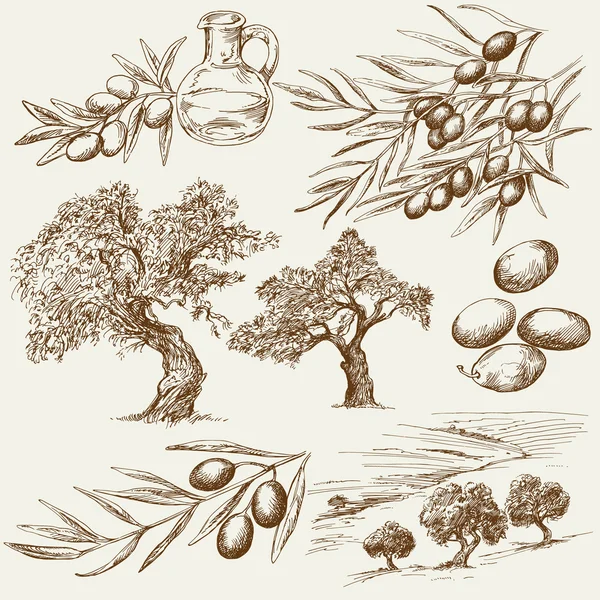Набор оливок ручной работы — стоковый вектор