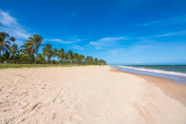 View of the beautiful Guarajuba Beach - Bahia, Brazil