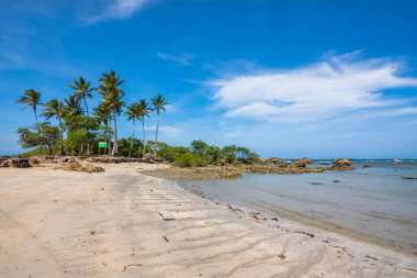 View of the beautiful Second Beach (Segunda Praia), along with it's coconut trees, at Morro de Sao Paulo - Bahia, Brazil