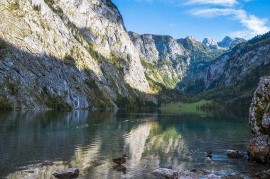 Obersee 'nin güzel manzarası - Schnau, Almanya