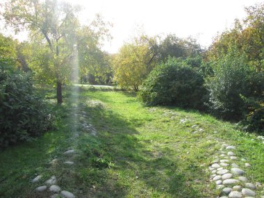 sonbahar bir Şehir Parkı