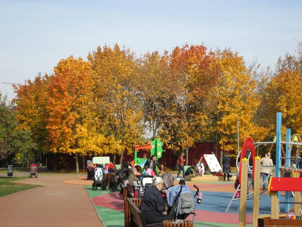 子供たちは晴れた日に公園の秋に遊び — ストック写真