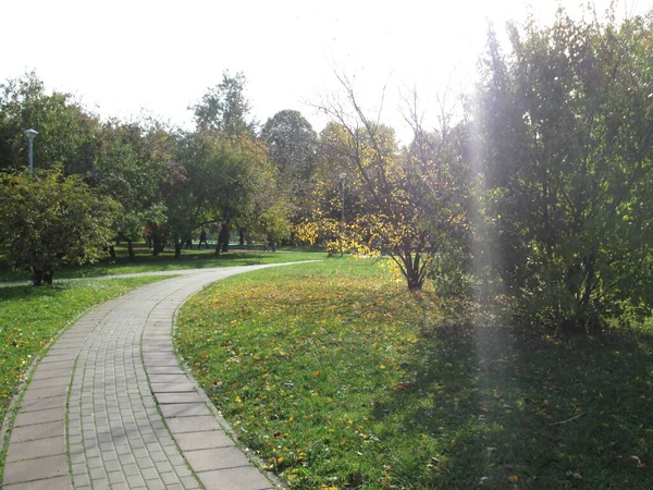 Herfst in een stadspark — Stockfoto