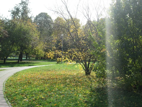 Automne dans un parc municipal — Photo