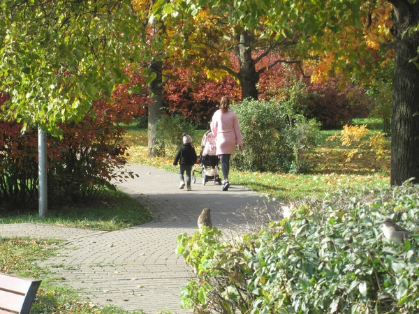 Enfants jouent à l'automne dans le parc journée ensoleillée — Photo