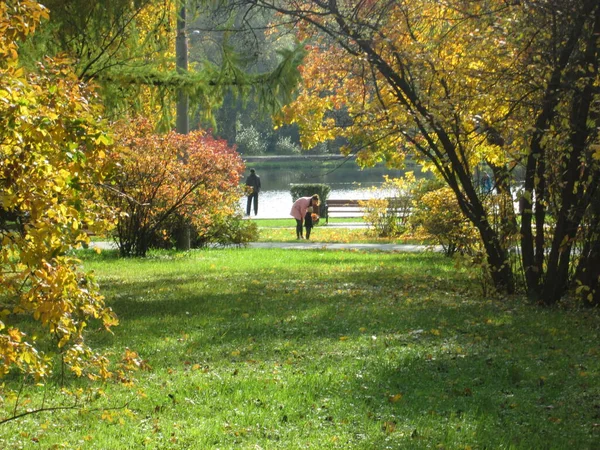 Automne. Les gens marchent dans le parc par une journée ensoleillée — Photo