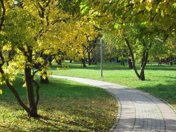 Outono em um parque da cidade — Fotografia de Stock