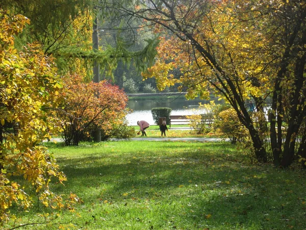 Outono. As pessoas caminham no parque em um dia de sol — Fotografia de Stock