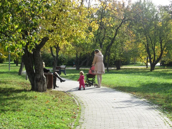 Jesienią. Ludzie chodzą po parku w słoneczny dzień. — Zdjęcie stockowe