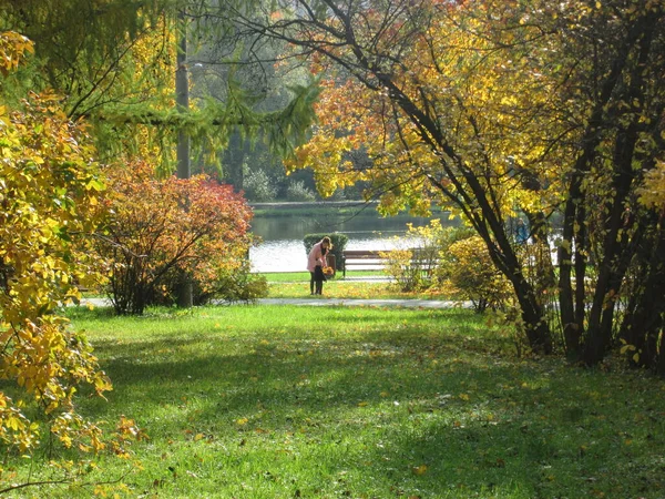 Automne. Les gens marchent dans le parc par une journée ensoleillée — Photo