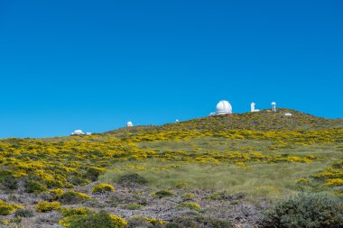 Roque de los Muchachos Gözlemevi