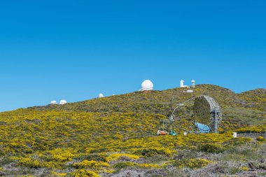 Roque de los Muchachos Gözlemevi