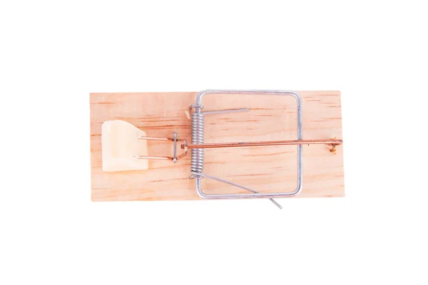 Trappola per topi in legno con formaggio — Foto Stock