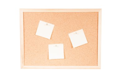 Mantar pano ile manzara arz ediyor