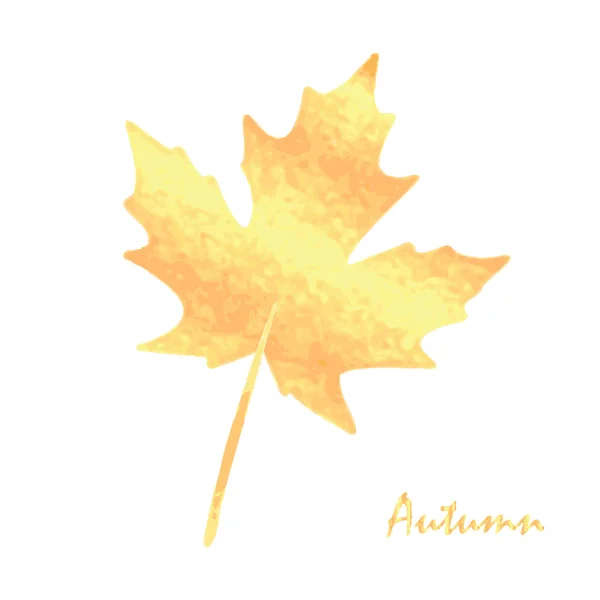 Feuille d'automne isolée sur fond blanc — Image vectorielle