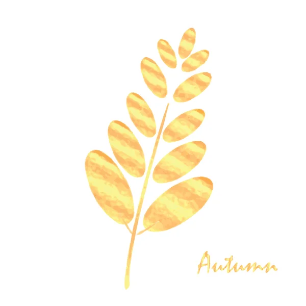 Autumn leaf design element — Stock Vector