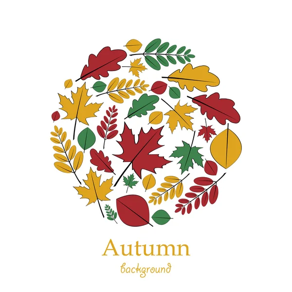 Conjunto de folhas de outono localizadas em um círculo — Vetor de Stock