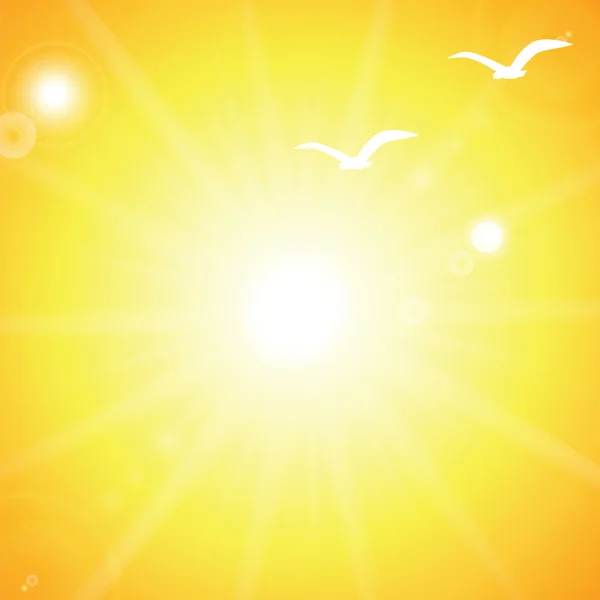 Небо с солнцем и птицами — стоковый вектор