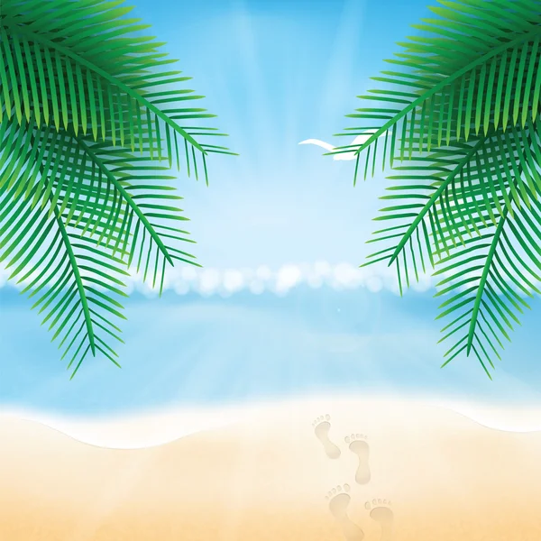 Paradise beach — Stock Vector