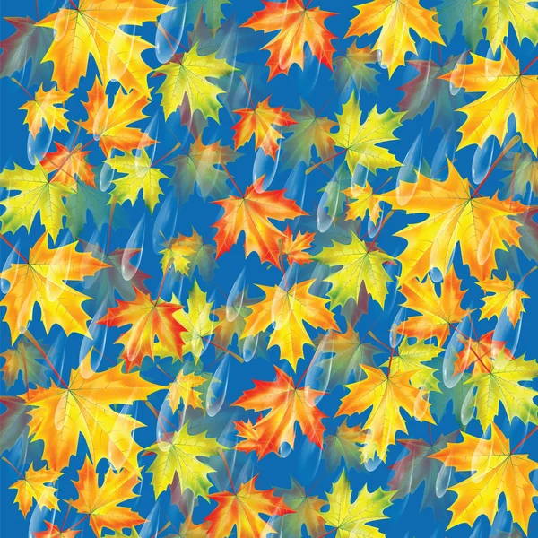 秋の背景。背景に雨の滴、カエデを葉します。 — ストックベクタ