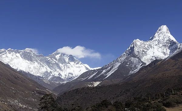 Montura en himalayas — Foto de Stock