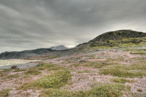 Krajobraz z Grenlandii — Zdjęcie stockowe