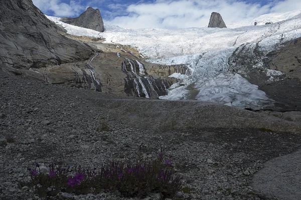 El gran glaciar —  Fotos de Stock