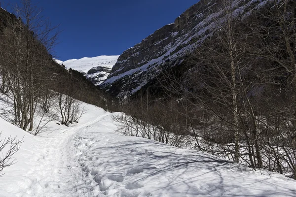 Kışın dağ — Stok fotoğraf