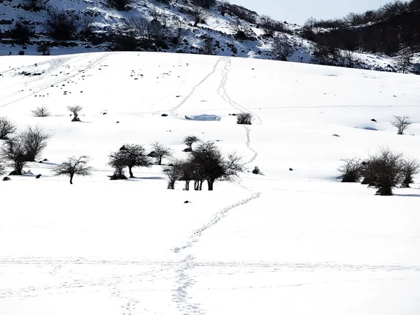 Mountain in winter — Stock Photo, Image