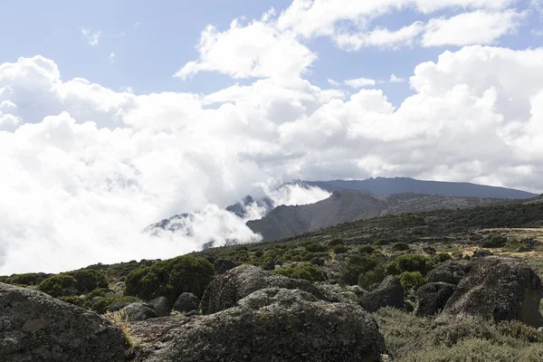 De mount kilimanjaro — Stockfoto