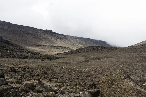 El monte kilimanjaro —  Fotos de Stock