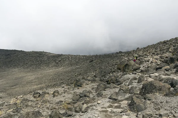 Der kilimandscharo — Stockfoto