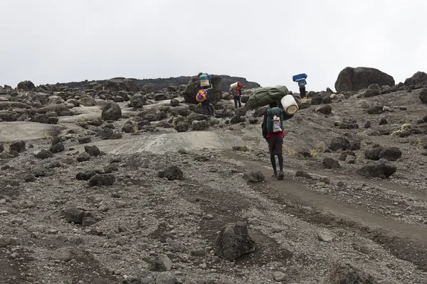 The mount kilimanjaro — Stock Photo, Image