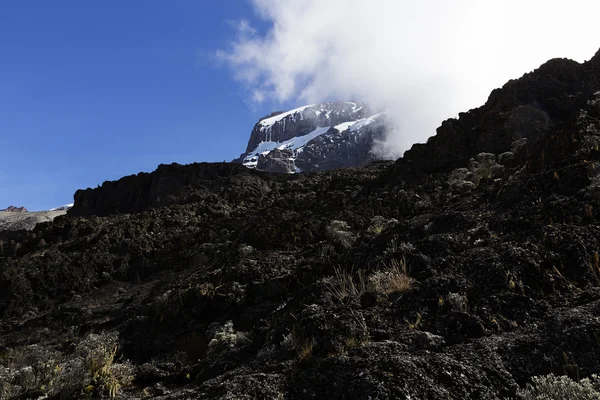 Il monte kilimangiaro — Foto Stock