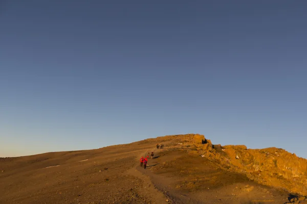 The mount kilimanjaro — Stock Photo, Image