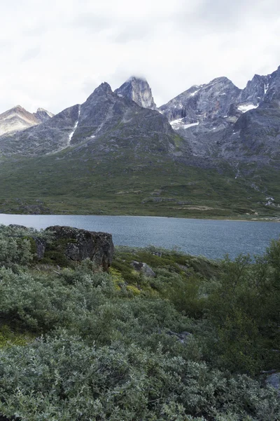 Grönlands kust — Stockfoto