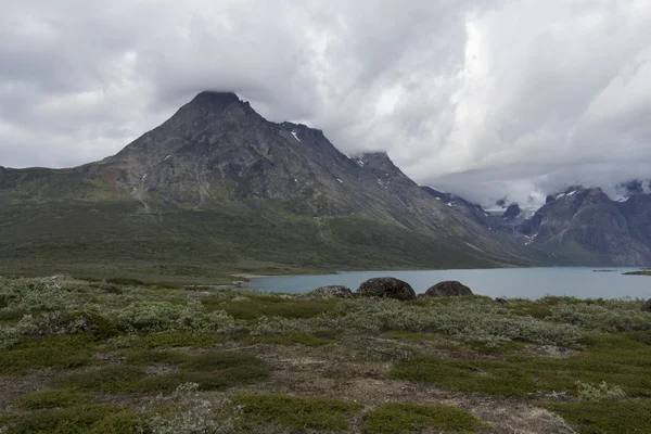 Grönlands kust — Stockfoto