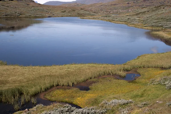 The coast of greenland — Stock Photo, Image