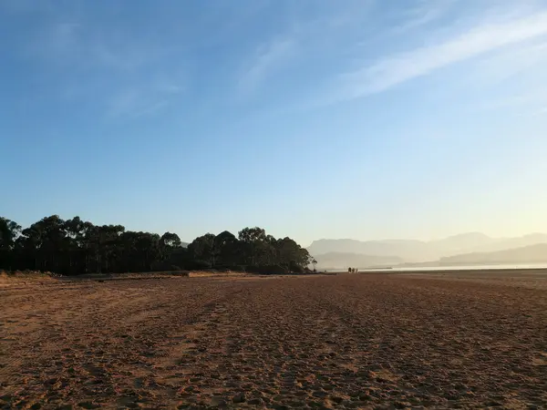 美海岸 — 图库照片