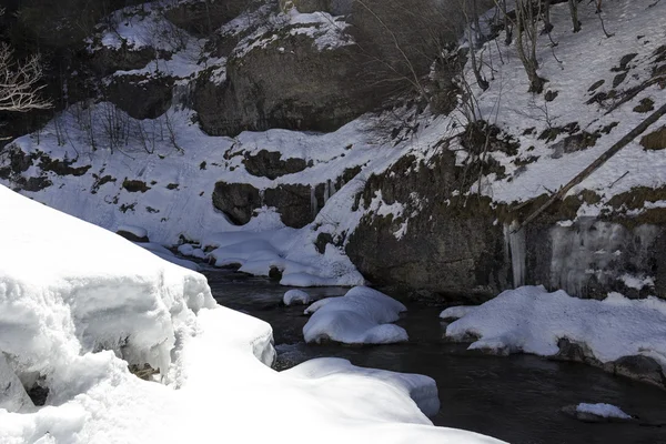 La vallée d'Ordesa — Photo