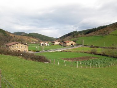 alanında