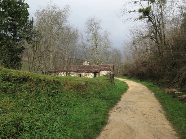 In het velden el campo — Stockfoto