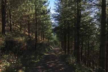 Bask ülkesindeki kayalık dağların manzarası