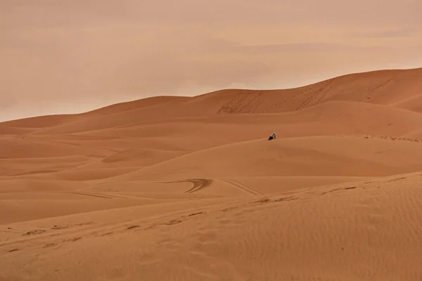 Landskap Vid Solnedgången Sahara Öknen — Stockfoto