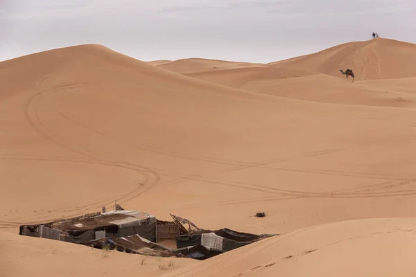 Oasis Camp Sahara Desert — Stock Photo, Image