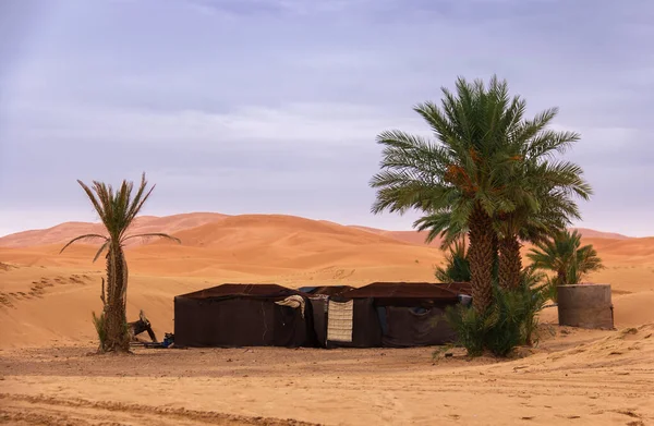 Obóz Oazy Pustyni Sahara — Zdjęcie stockowe