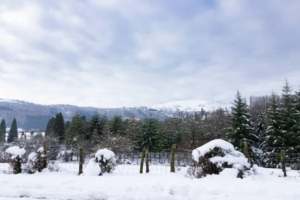 Paesaggio Innevato Nei Paesi Baschi — Foto Stock