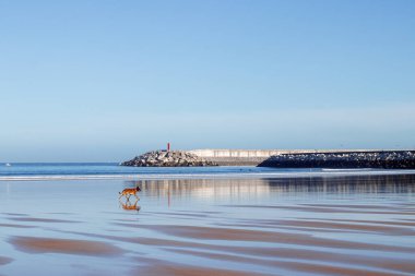 Laredo, İspanya 'da bir liman.